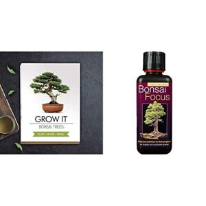 Gift Republic: Grow It. Grow Your Own Bonsai Trees