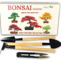 Bonsai Tree kit –...