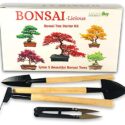 Bonsai Tree kit –...