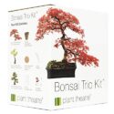 Plant Theatre Bonsai Trio...