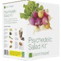 Psychedelic Salad Kit by...