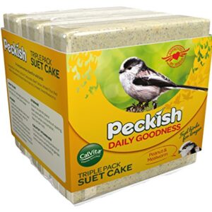 Peckish Daily Goodness Mealworm for Wild Birds