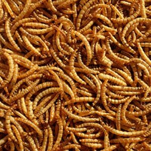 Premium Dried Mealworms